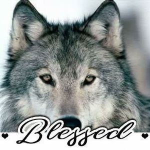 Meet your Posher, Layla